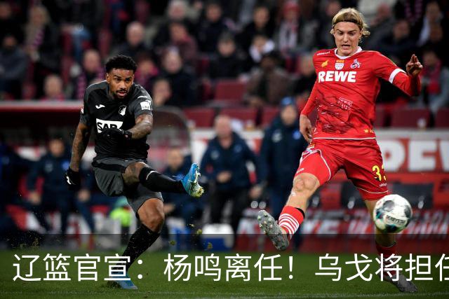 辽篮官宣：杨鸣离任！乌戈将担任辽宁男篮主帅